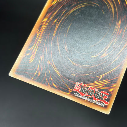 遊戯王　ゲーテの魔導書/レリーフ/イタリア/EU版