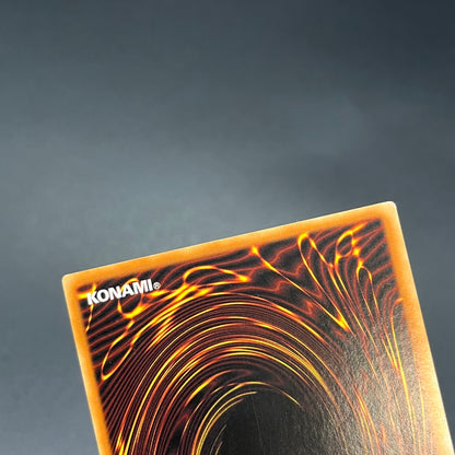 遊戯王　爆導索/レリーフ/ドイツ語/1st/EU版