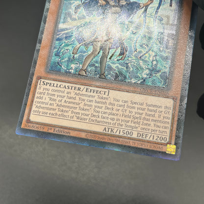 遊戯王　聖殿の水遣い/コレクターズ/英語/1st/EU版