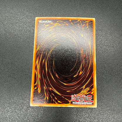 遊戯王　ホーリー・ナイト・ドラゴン/シークレット/英語