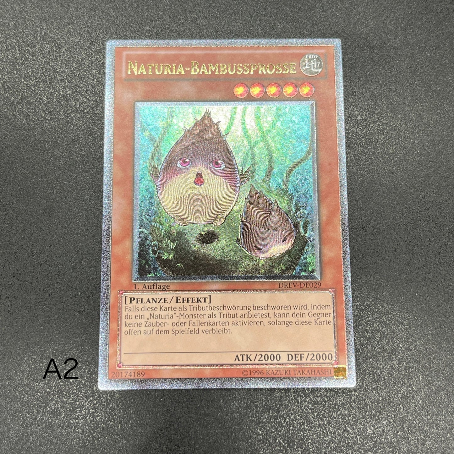 遊戯王　ナチュル・バンブーシュート/レリーフ/ドイツ/1st/EU版