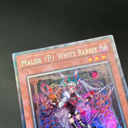 遊戯王　Ｍ∀ＬＩＣＥ＜Ｐ＞Ｗｈｉｔｅ Ｒａｂｂｉｔ/コレクターズ/英語/1st/EU