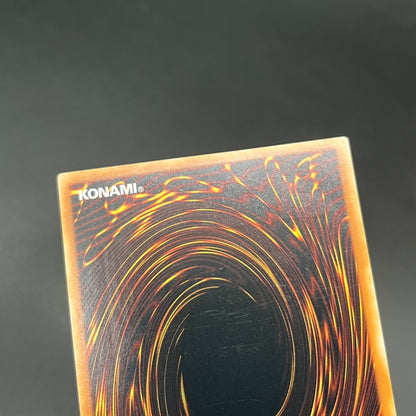 遊戯王　スキルドレイン/レリーフ/英語/EU版