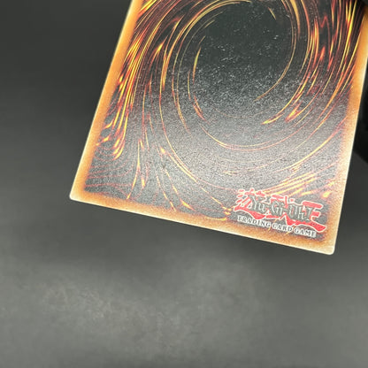 遊戯王　ブラック・マジシャン・ガール/クオシク/英語/1st/EU版