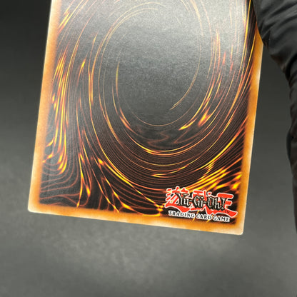 遊戯王　竜の交感/レリーフ/イタリア/1st/EU版