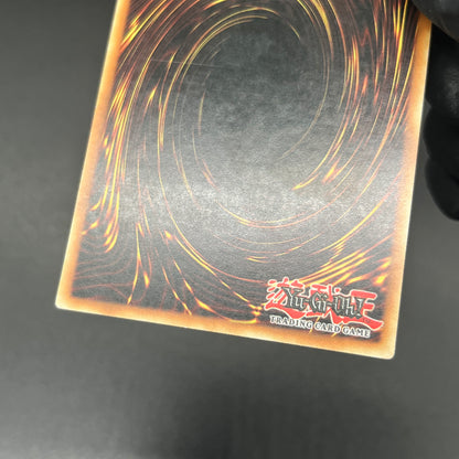 遊戯王　死のデッキ破壊ウイルス/レリーフ/スペイン/1st/EU版