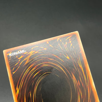 遊戯王　サンダー・エンド・ドラゴン/レリーフ/ドイツ/1st/EU版