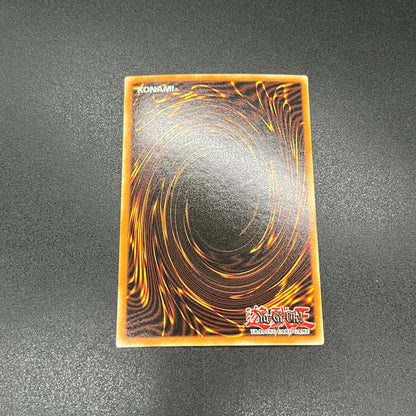 遊戯王　ブラック・マジシャン・ガール/シークレット/英語/1st/北米版