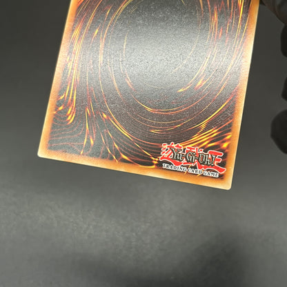 遊戯王　Ｍ∀ＬＩＣＥ ＩＮ ＵＮＤＥＲＧＲＯＵＮＤ/コレクターズ/英語/1st/EU