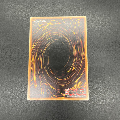 遊戯王　プロト・サイバー・ドラゴン/レリーフ/ドイツ語/EU版