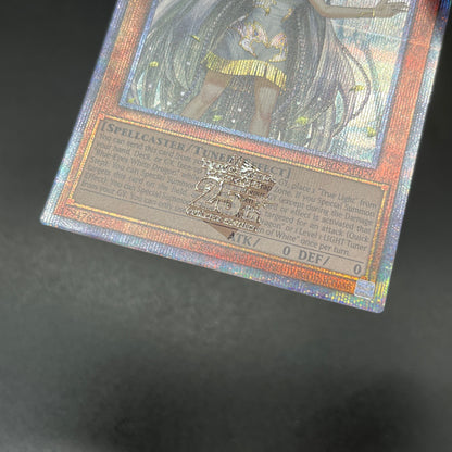 遊戯王　青き眼の乙女/クオシク/英語/泰亜版