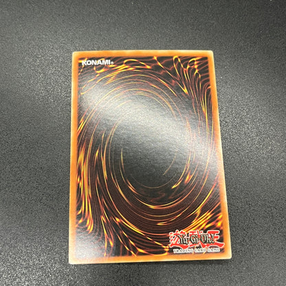 遊戯王　竜騎士ガイア/シークレット/ドイツ/EU版