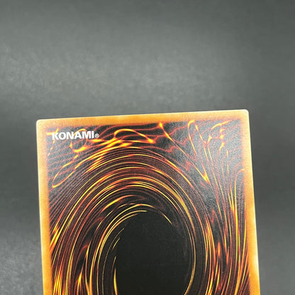 遊戯王　デストーイ・マッド・キマイラ/レリーフ/ドイツ語/1st/EU版