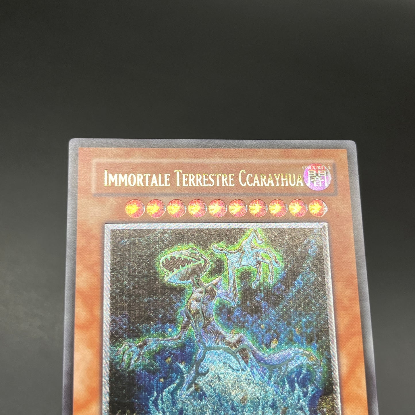 遊戯王　地縛神 Ｃｃａｒａｙｈｕａ/レリーフ/イタリア/EU版