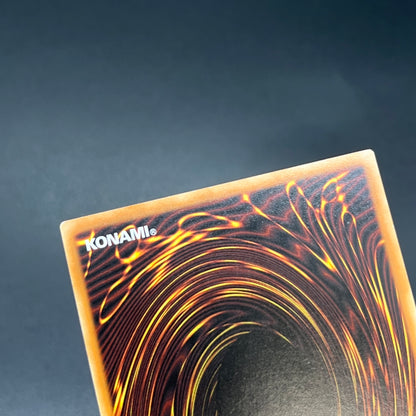 遊戯王　幻魔の殉教者/レリーフ/ドイツ語/EU版