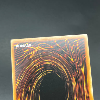 遊戯王　メタファイズ・ホルス・ドラゴン/レリーフ/英語/1st/EU版