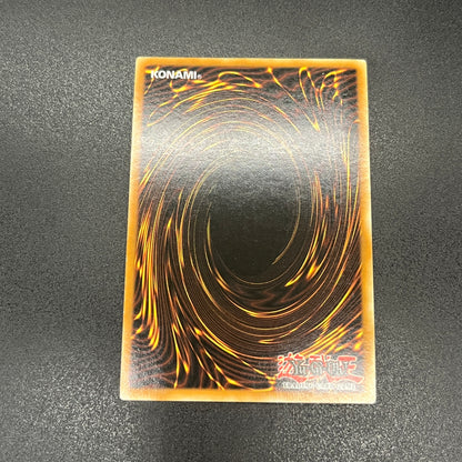 遊戯王　闇紅の魔導師/シークレット/ドイツ/EU版