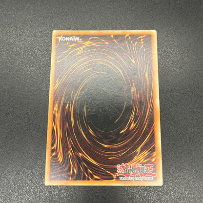 遊戯王　教導の聖女エクレシア/レリーフ/英語/EU版