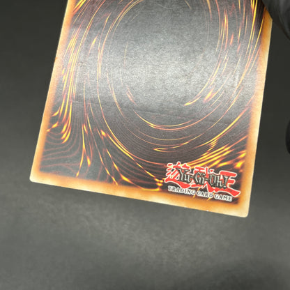 遊戯王　禁じられた聖杯/レリーフ/ドイツ/EU版