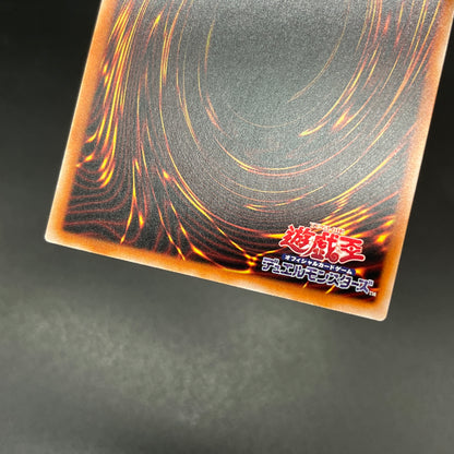 遊戯王　ドラゴンメイドのお心づくし/クオシク/英語/泰亜版