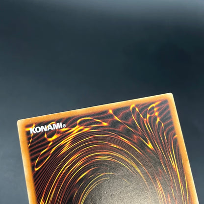 遊戯王　黄泉ガエル/レリーフ/ドイツ語/EU版