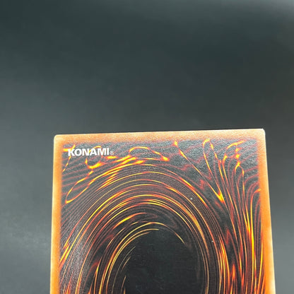 遊戯王　漆黒の魔王 ＬＶ６/レリーフ/ドイツ語/1st/EU