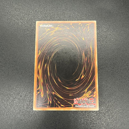 遊戯王　スクラップ・ツイン・ドラゴン/レリーフ/スペイン/1st/EU版