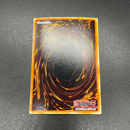 遊戯王　レッドアイズ・ブラックメタルドラゴン/シークレット/スペイン/EU版