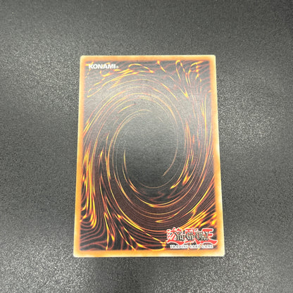 遊戯王　宝玉獣 トパーズ・タイガー/レリーフ/ドイツ語/EU版