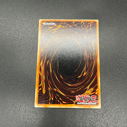 遊戯王　レッドアイズ・ブラックメタルドラゴン/シークレット/スペイン/EU版