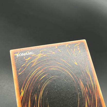 遊戯王　ストロング・ウィンド・ドラゴン/レリーフ/フランス/1st/EU版