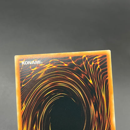 遊戯王　トゥーン・キングダム/レリーフ/英語/EU版