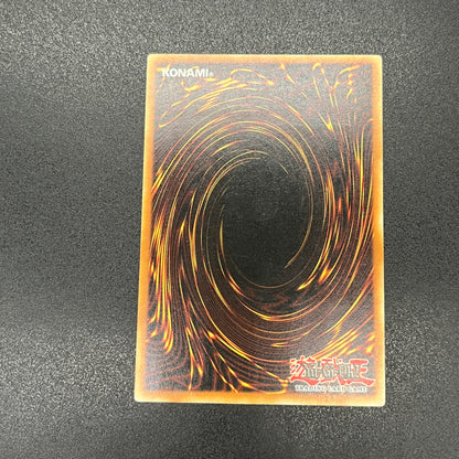 遊戯王　闇魔界の竜騎士 ダークソード/レリーフ/ドイツ語/EU