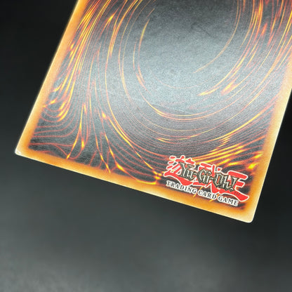 遊戯王　星守の騎士 プトレマイオス/レリーフ/ポルトガル/1st/EU
