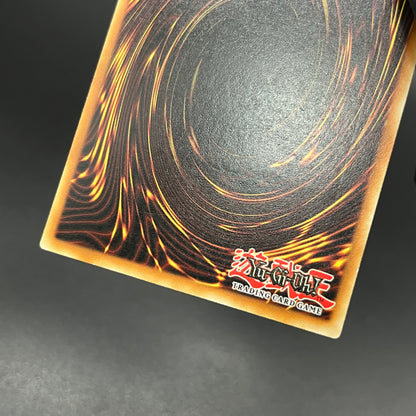 遊戯王　与奪の首飾り/レリーフ/ドイツ語/EU版