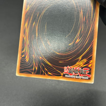 遊戯王　サウザンド・アイズ・サクリファイス/ウルトラ/ドイツ/EU
