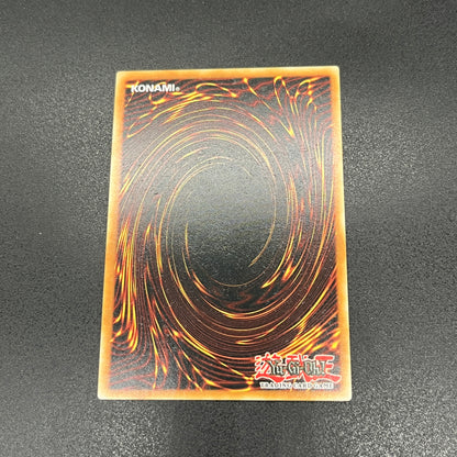 遊戯王　ブラック・マジシャン・ガール/シークレット/英語/1st/EU版