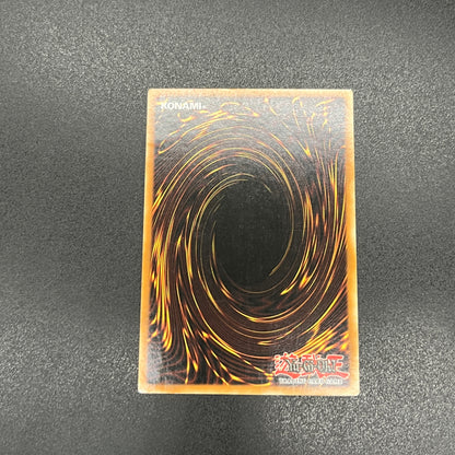 遊戯王　闇紅の魔導師/シークレット/イタリア語/1st/EU版