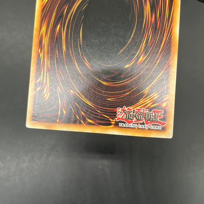 遊戯王　デストーイ・マッド・キマイラ/レリーフ/ドイツ語/1st/EU版