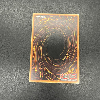 遊戯王　奇跡の蘇生/レリーフ/ドイツ語/EU版