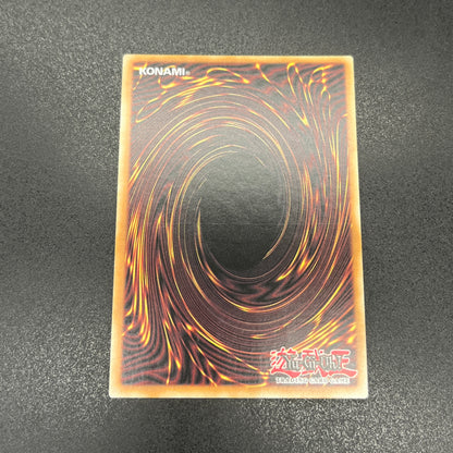 遊戯王　ドラゴンメイド・チェイム/シークレット/英語/1st