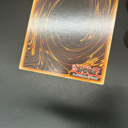 遊戯王　白き森のアステーリャ/クオシク/英語/1st/北米版