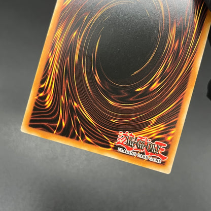 遊戯王　青眼の白龍/ウルトラ/ドイツ/1st/EU版