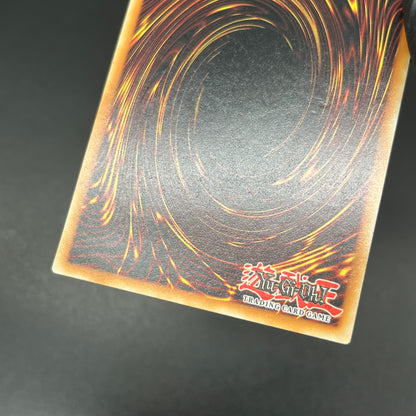 遊戯王　アルバスの烙印/レリーフ/英語/EU版