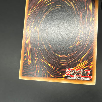 遊戯王　連続魔法/レリーフ/ドイツ語/EU版