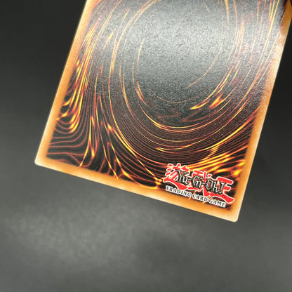 遊戯王　白の聖女エクレシア/クオシク/英語/1st/EU版