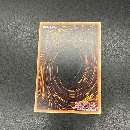 遊戯王　アトランティスの戦士/レリーフ/ドイツ語/EU版