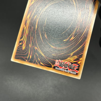 遊戯王　ブラック・マジシャン・ガール/クオシク/英語/1st/EU版