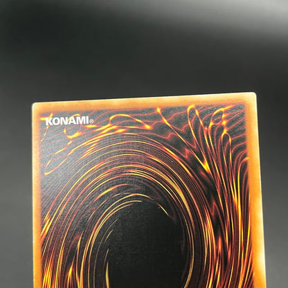 遊戯王　蟲惑の落とし穴/レリーフ/ドイツ/EU版