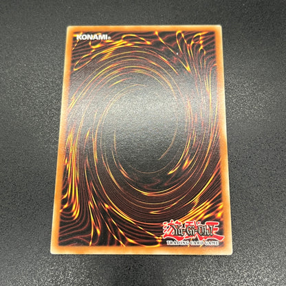 遊戯王　Ｅ・ＨＥＲＯ ブラック・ネオス/レリーフ/ドイツ語/EU版